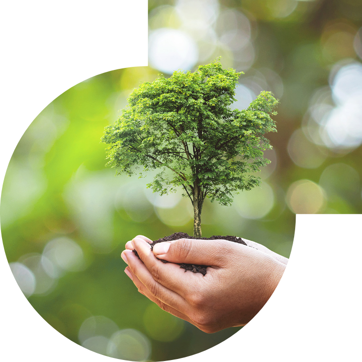 �P��������Ļ����h���c���