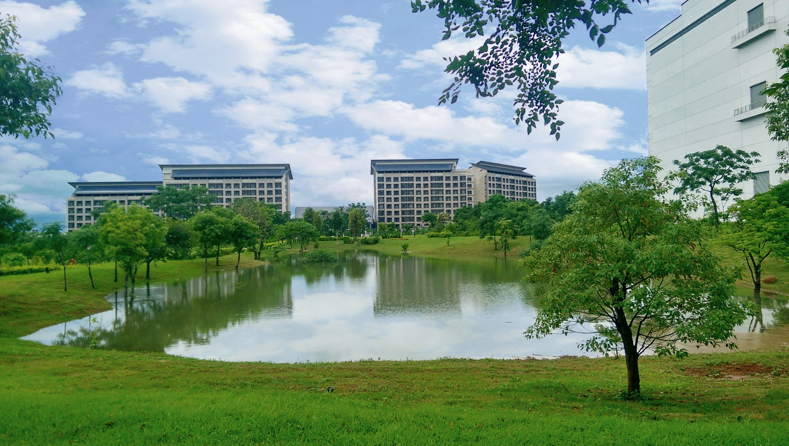 LEYU�پW(w��ng)푑�(y��ng)��(gu��)�H���h���������څ��(sh��)���״ΰl(f��)��TNFD��Ȼ���P(gu��n)ؔ(c��i)��(w��)��¶��(b��o)�����뢄����_չLEYU�پW(w��ng)�������������֮���Z�����~���c��Ȼ���C����